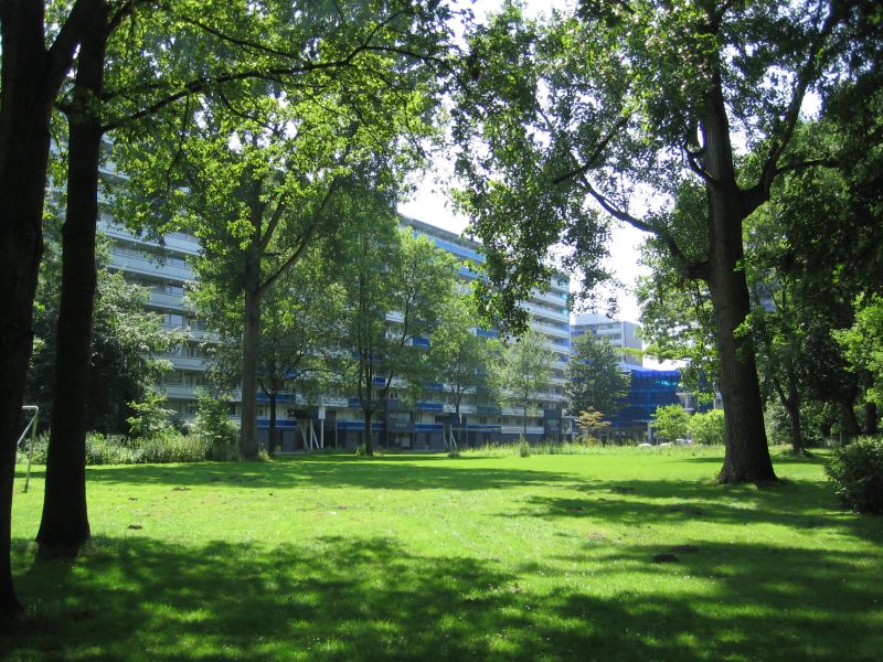 Walmolen 56, 1035 BM Amsterdam, Nederland