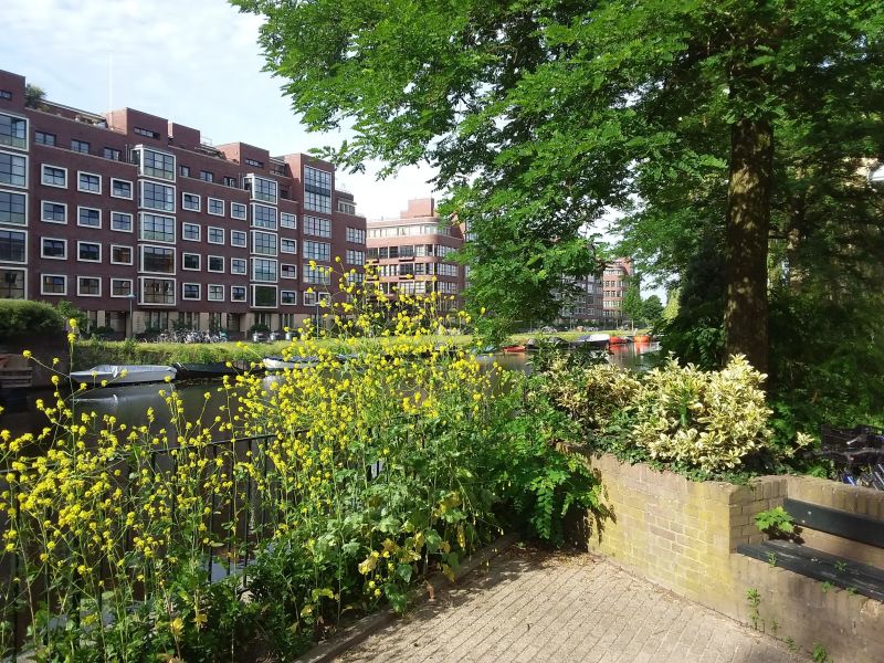 Pieter Lastmankade 230