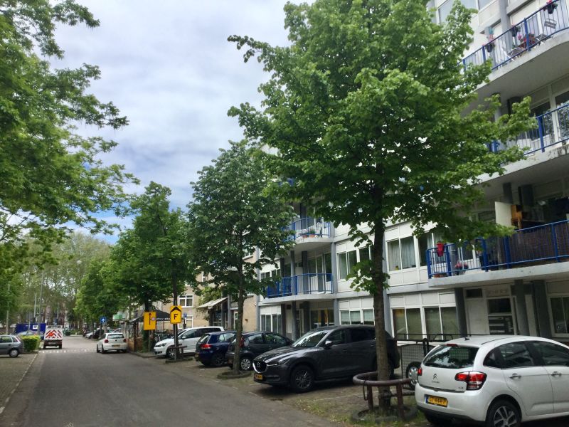 Frederik Hendrikplantsoen 32A