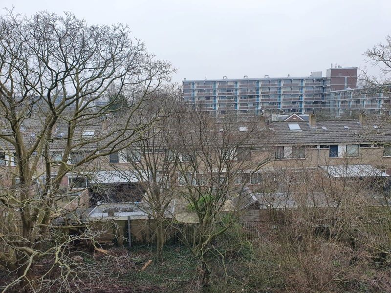 Aletta Jacobsstraat 222