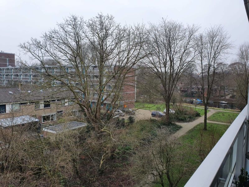 Aletta Jacobsstraat 222