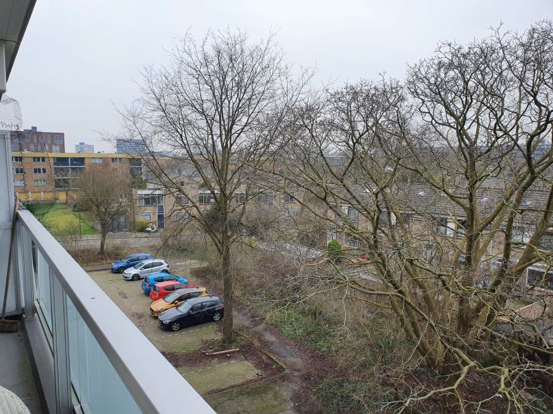 Aletta Jacobsstraat 222