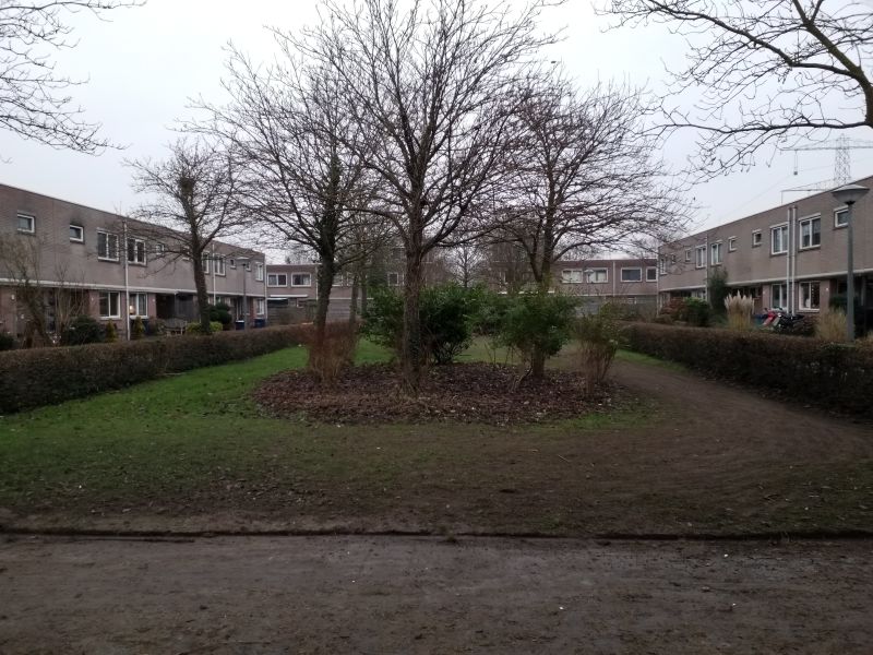 Lijsterbeshof 2