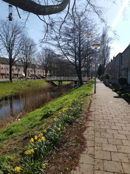 Femina Mullerstraat 137