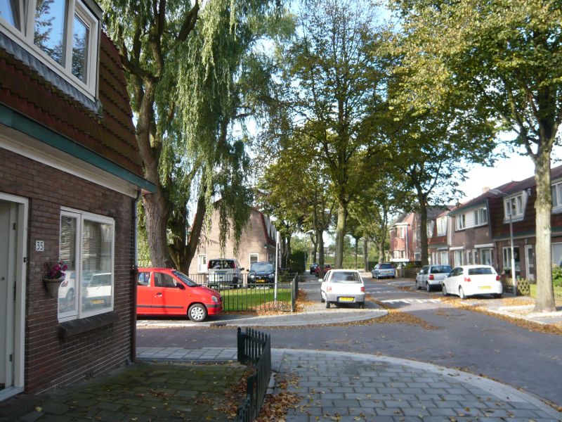 Tulpstraat 55