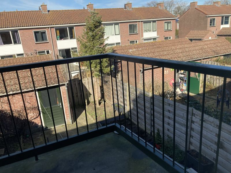 Adriaan van Ostadestraat 20