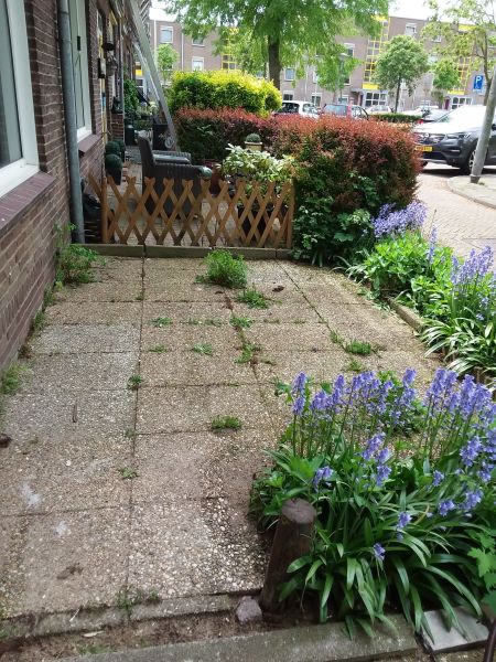 Dirkshornplantsoen 7