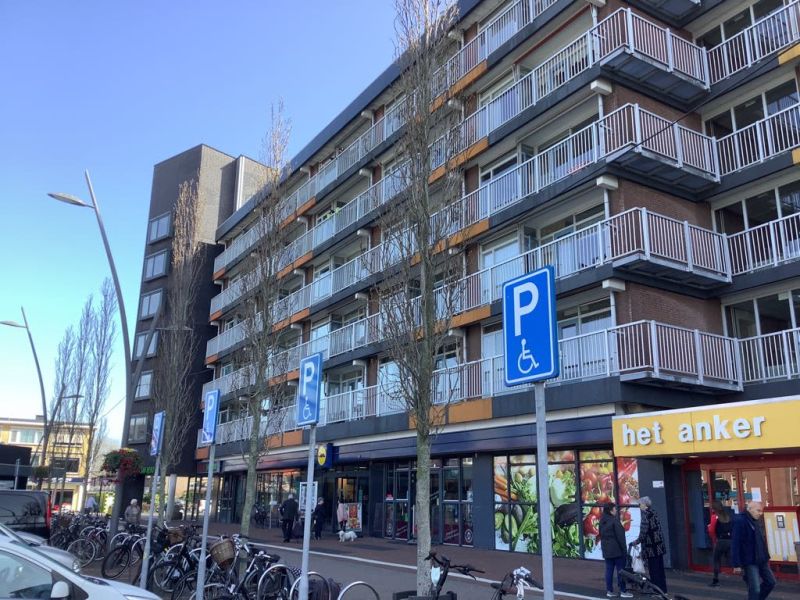 Wilgenplein 407