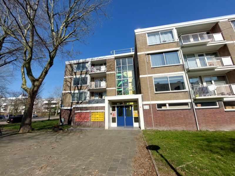 Nedersticht 244, 1083 XG Amsterdam, Nederland