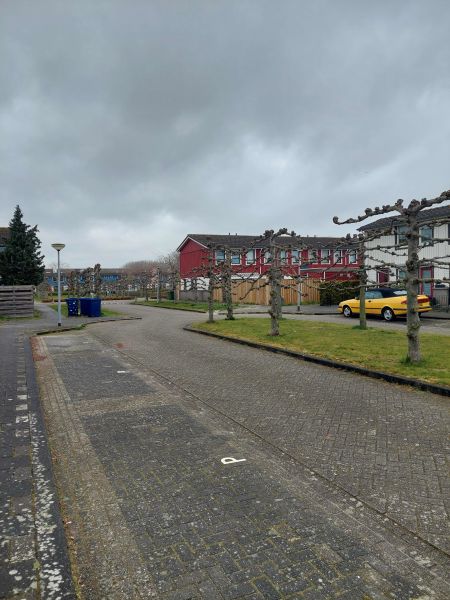 Jacob van Campenstraat 19