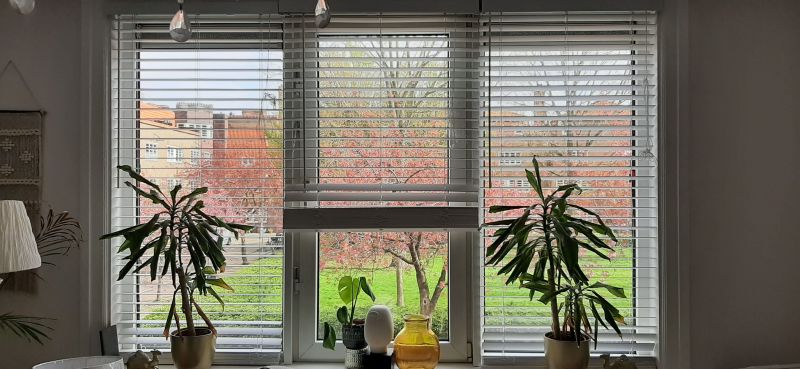 Thérèse Schwartzeplein 8