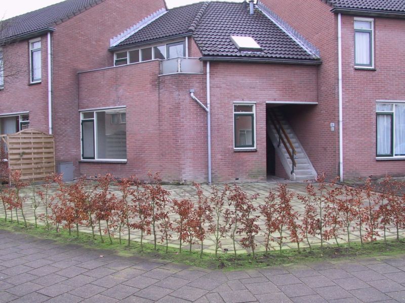 Johan Buziaustraat 70, 7558 LB Hengelo, Nederland