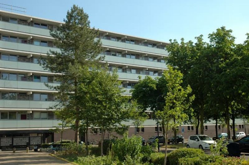 Forelstraat 259, 2037 KW Haarlem, Nederland