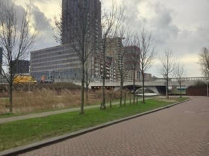 B. Merkelbachsingel 167