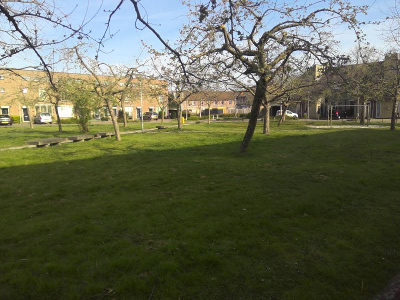 Vincent van Goghplein 6