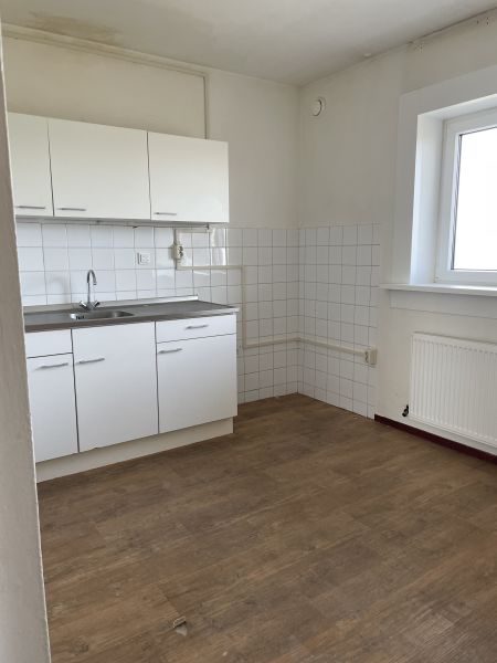 Graan voor Visch 13954