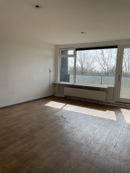 Graan voor Visch 13954