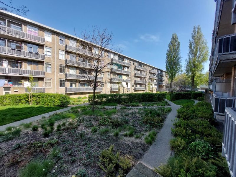 Louise de Colignystraat 26II