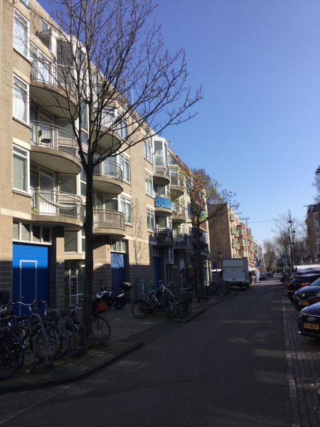 Pieter Nieuwlandstraat 15D, 1093 XH Amsterdam, Nederland