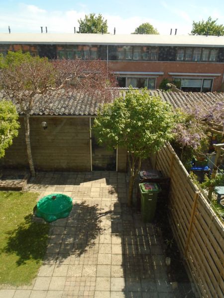 Rijnenborghstraat 25