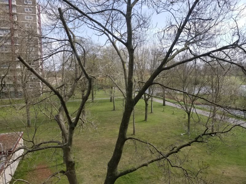 Leonard Springerlaan 288