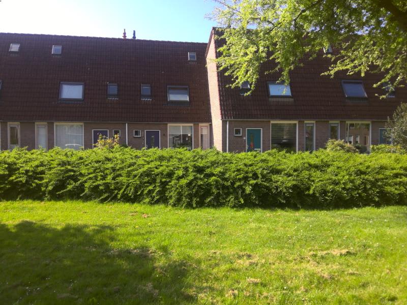 Roos Vosstraat 56