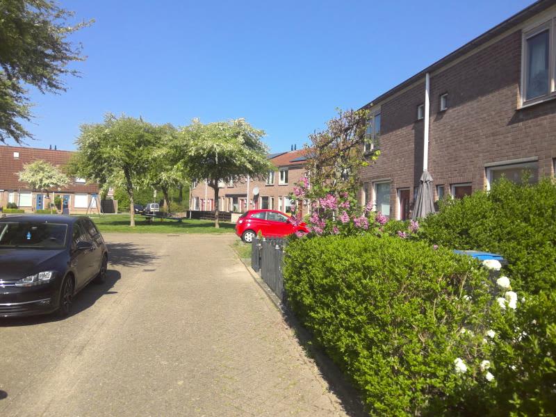 Roos Vosstraat 56