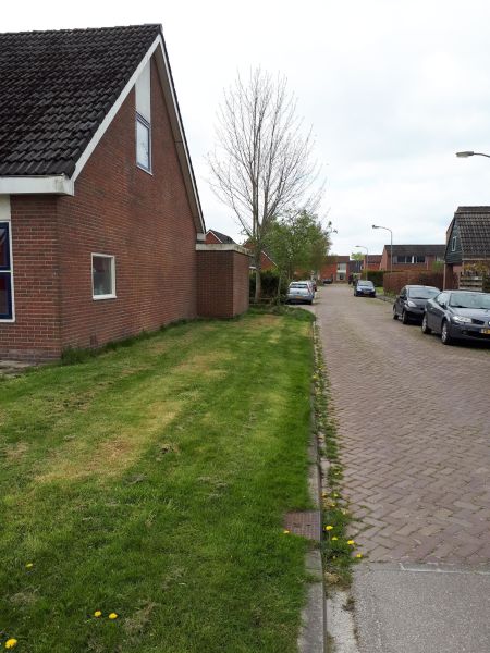 Sien Jensema Hörn 9