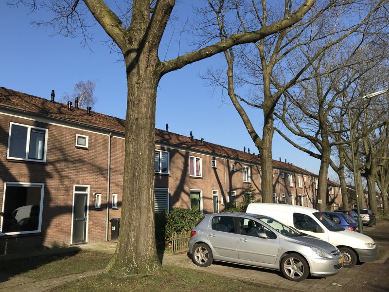 Eikenlaan 24, 3911 GJ Rhenen, Nederland