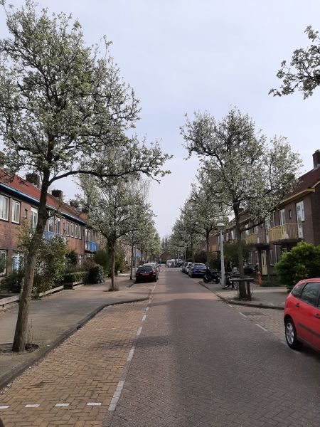 De Peerelstraat 4, 1097 NG Amsterdam, Nederland