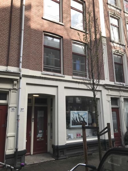 Tweede Jan Steenstraat 57, 1074 CG Amsterdam, Nederland