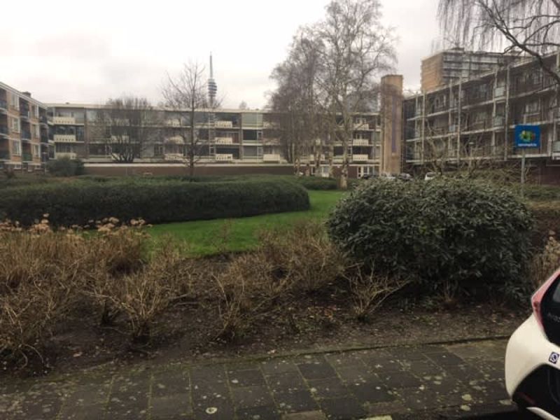 Dikninge 15, 1083 TX Amsterdam, Nederland