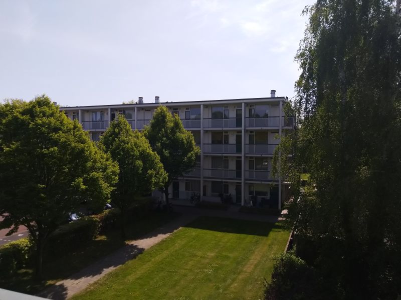 Jan Roeckplantsoen 28