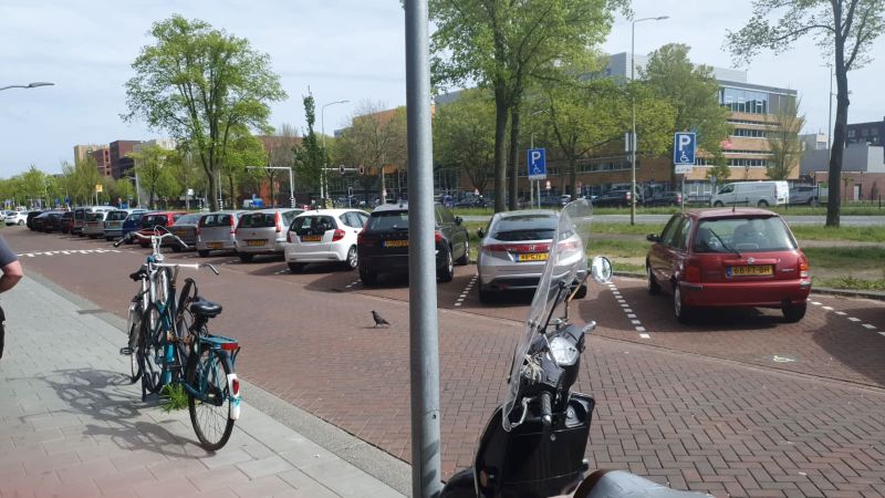 Frans van der Wielstraat 59