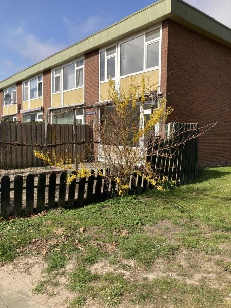 Dodonaeusstraat 71, 1504 KE Zaandam, Nederland