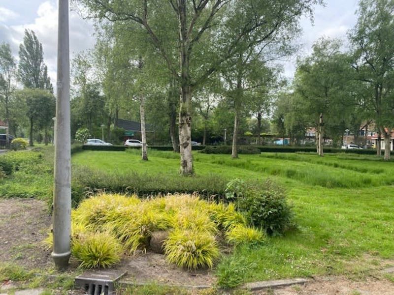 Monnikendammerplantsoen 28