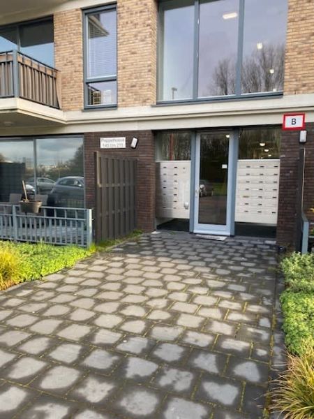 Peppelhoeve 185, 3438 Nieuwegein, Nederland