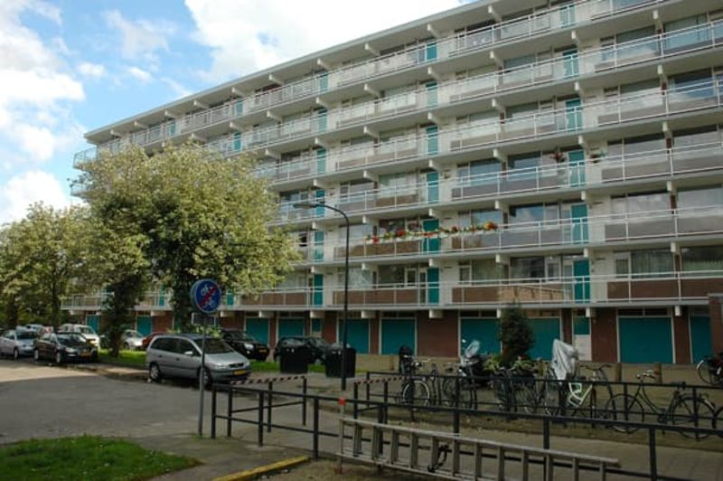 Cornelia de Langestraat 232