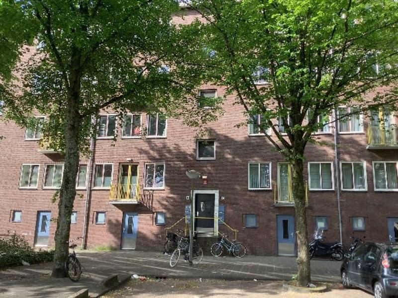 Olmenweg 6, 1091 TX Amsterdam, Nederland