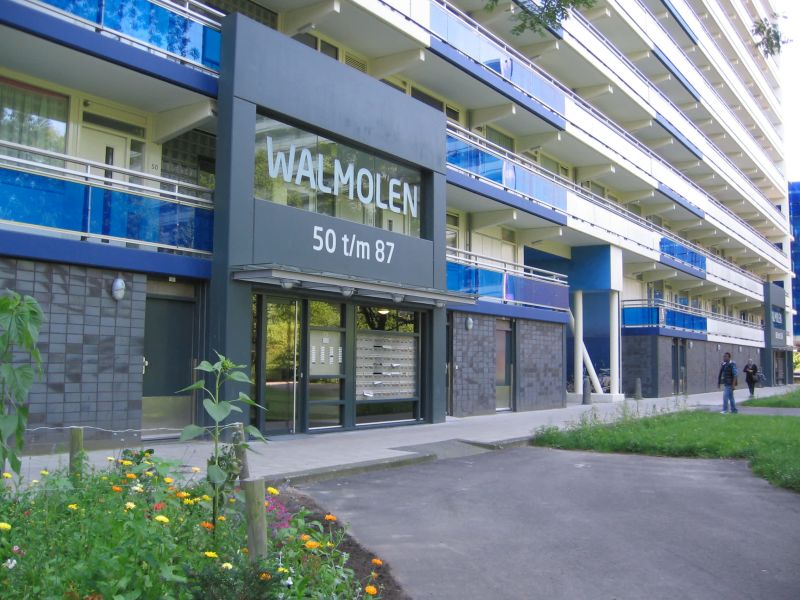 Walmolen 55