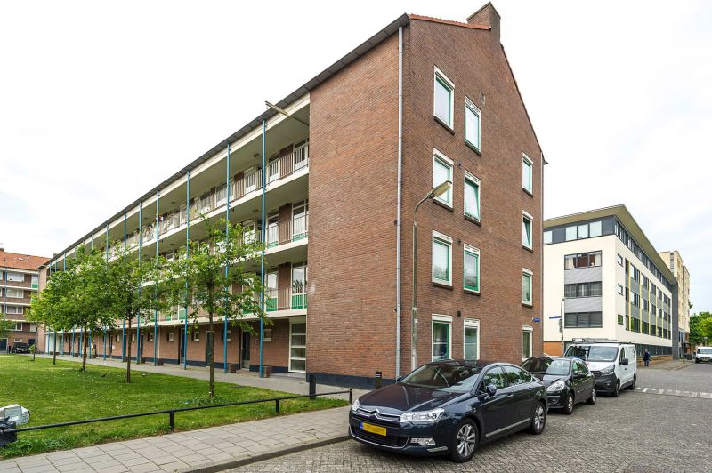 Grote Beer 3D, 3813 VT Amersfoort, Nederland