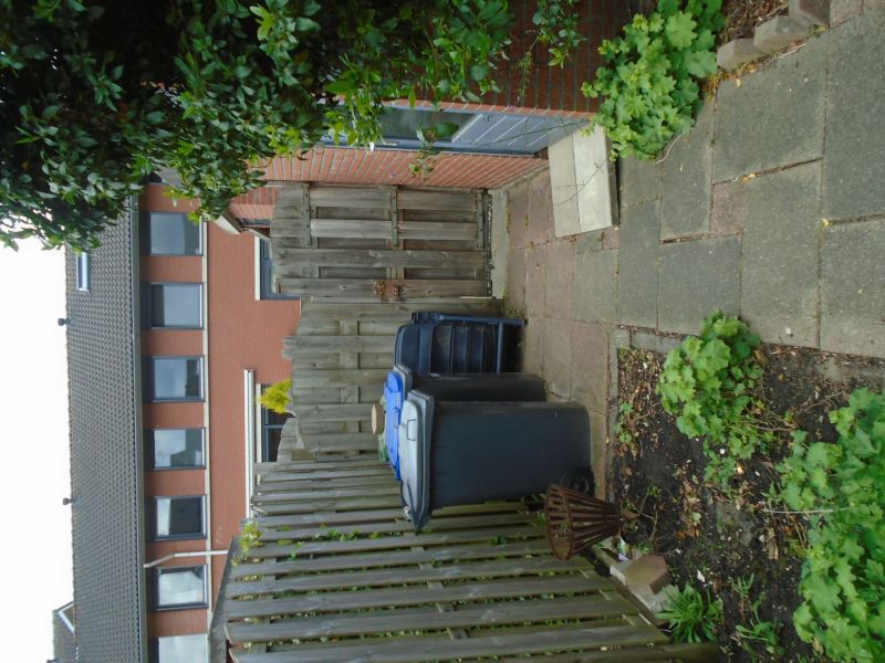 Bertus Aafjeshove 45