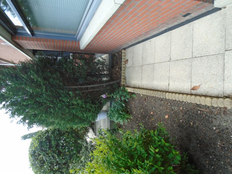 Bertus Aafjeshove 45