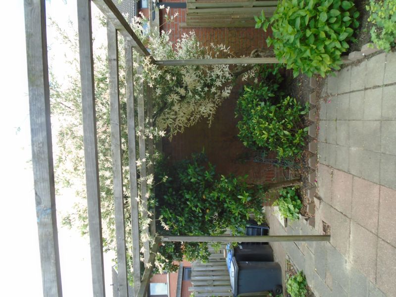 Bertus Aafjeshove 45