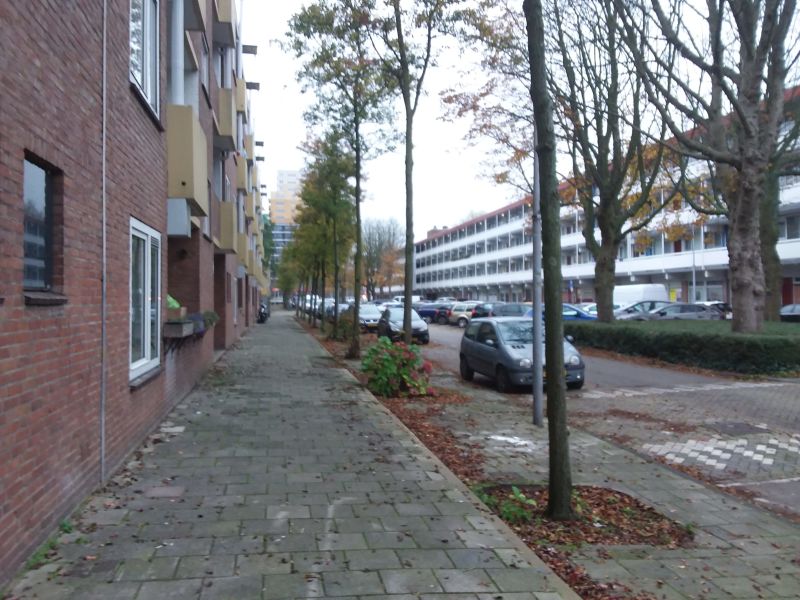 Spanderswoudstraat 45