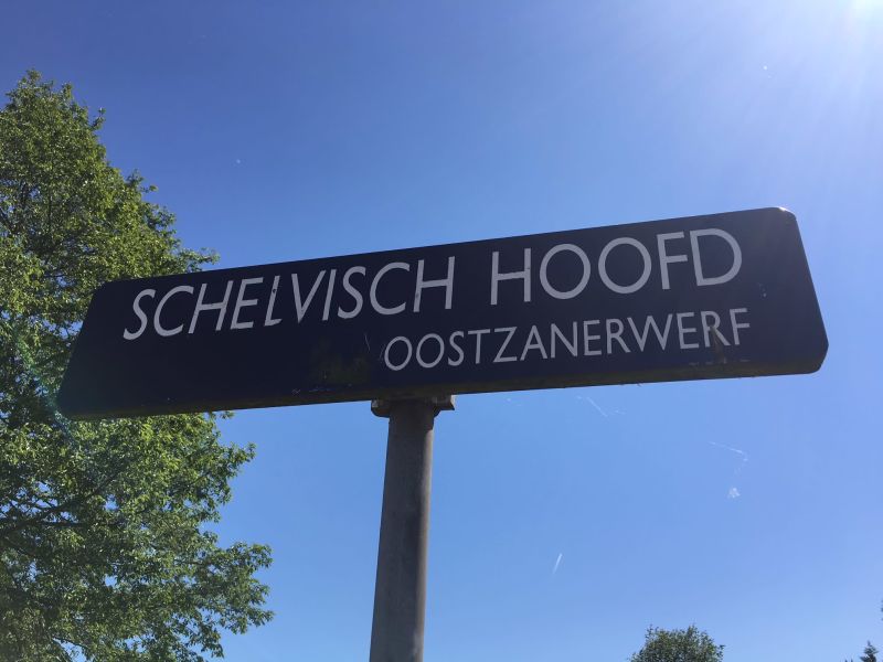 Schelvisch Hoofd 16