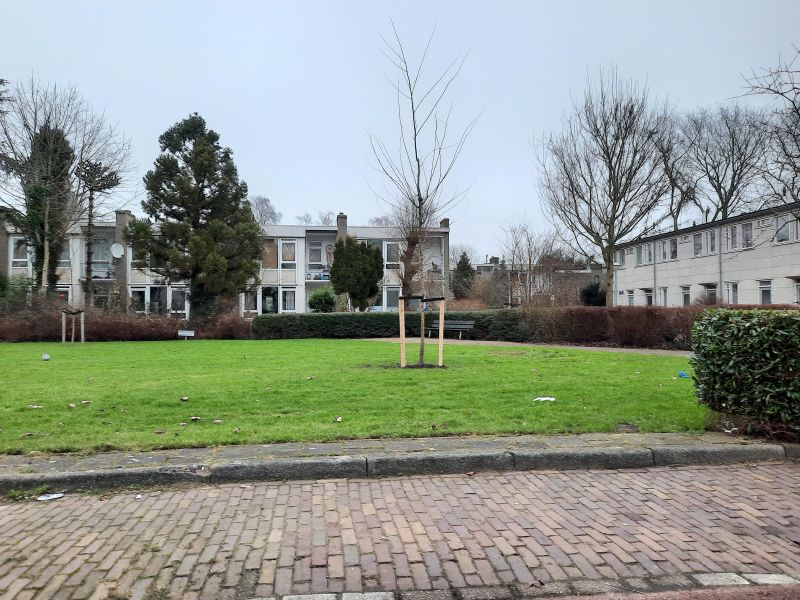 F.C. Dondersstraat 13