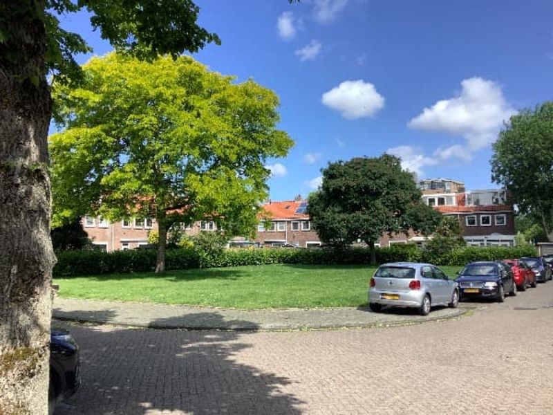 Pierre Cuypershof 39