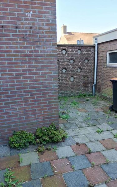 Van Leeuwenstraat 33