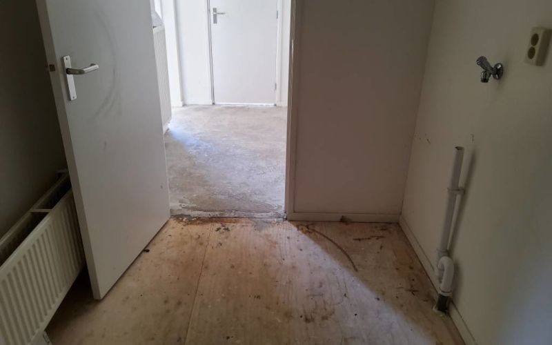 Van Leeuwenstraat 33